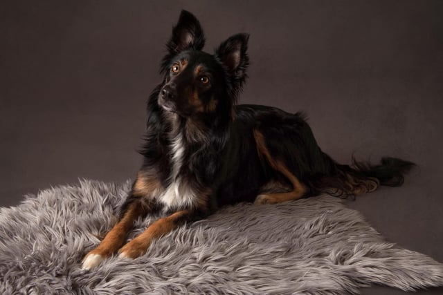Luna, sent in by Ayesha Ingham.