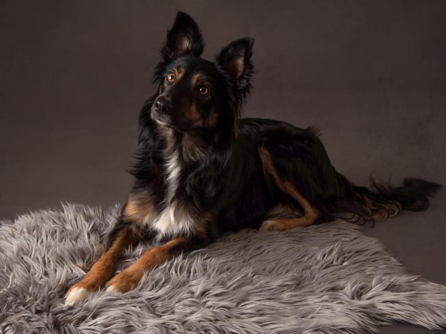Luna, sent in by Ayesha Ingham.