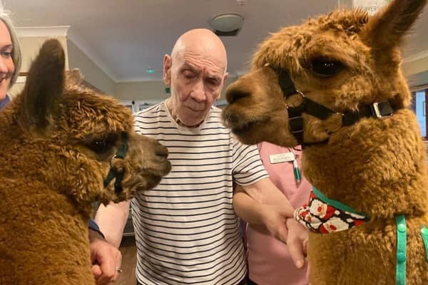 Residents at Rivermead care home were delighted by the alpacas visit