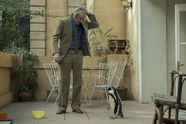 Steve Coogan stars in The Penguin Lessons at the Stephen Joseph Theatre cinema