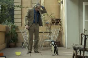 Steve Coogan stars in The Penguin Lessons at the Stephen Joseph Theatre cinema