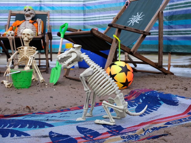 Halloween visitors on the beach