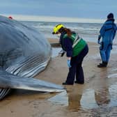East Riding Council are hoping to remove the whale's dead body by the end of tomorrow.