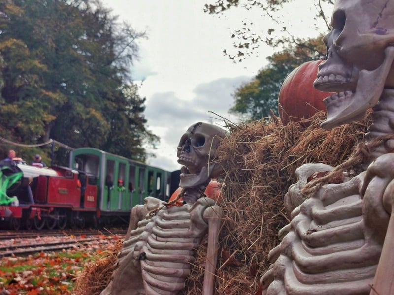 On October 29, 30 and 31 Scarborough North Bay Railway will be hosting the Hallowscream Express. Designed to be spooky, not terrifying, your journey begins at Scarborough (Peasholm) Station, where once you have collected your spooky slush, our resident storyteller will weave a frightful tale of mystery and mischief to set the scene. From October 25 - 31 there is a fun pumpkin trail. Take a ride on the train as you complete the pumpkin trail to be in with a chance to win a Ghoulish Goody Bag.