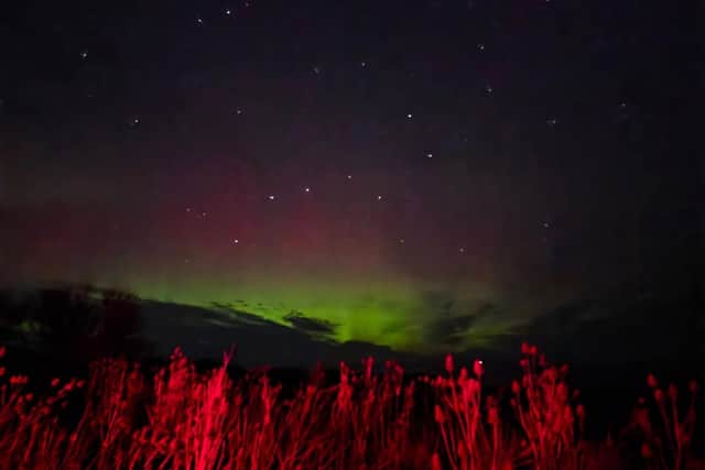 A stunning photo capturing the long grasses along the cliffs waving in the night air, as the colours of the Northern Lights swirl overhead. Photo: Astro Dog.