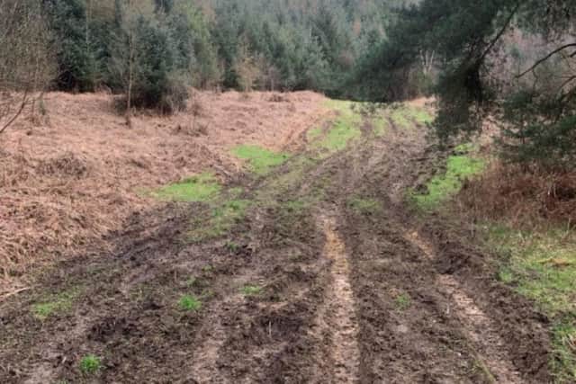 One of the areas damaged by the off-roaders