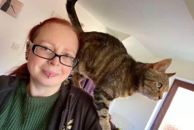 Cat expert Katie Gwilt is issuing this urgent advice - Animal News Agency
