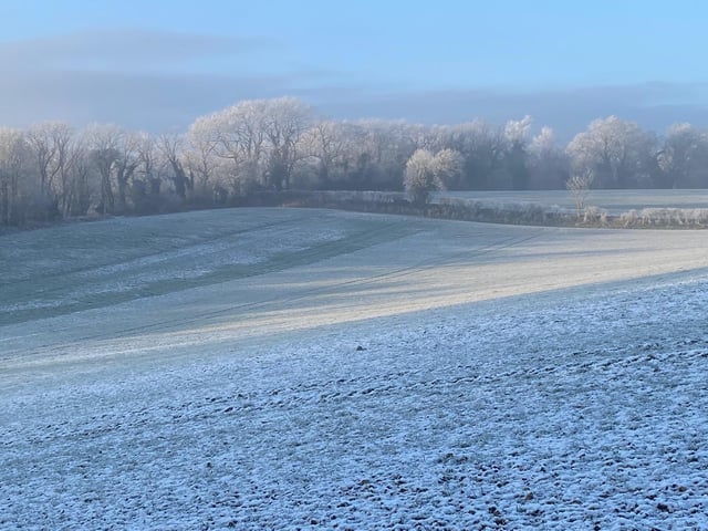 A very cold and frosty looking Forge Valley, by Judith Penny.