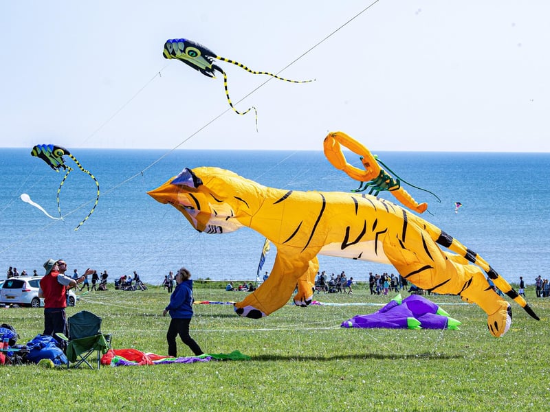 Bridlington Kite Festival saw some spectacular sights!