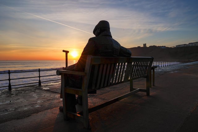 Freddie looks out at a serene sunrise, by Beverley Senturk.