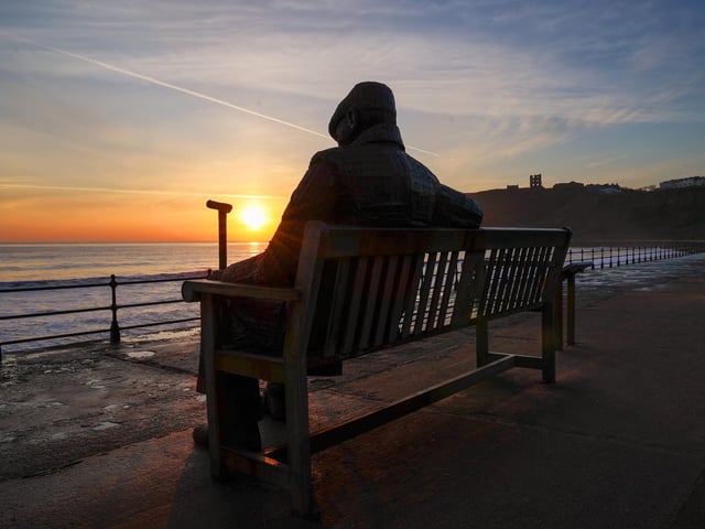 Freddie looks out at a serene sunrise, by Beverley Senturk.