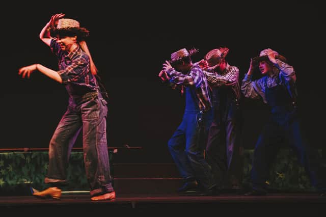 The Wizard of Oz production on stage. picture: Matthew Cooper