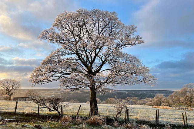 Hard frost in Goathland following snow, by Michael Trimble.