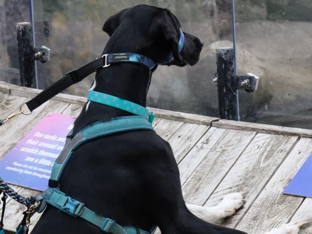 Taking in the sights!