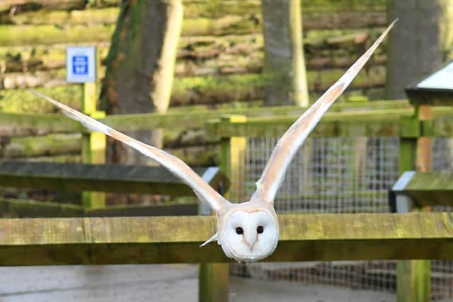 People will get the chance to find out more about some of the area’s most incredible species.