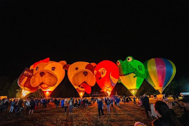 The hot air balloons looked amazing!