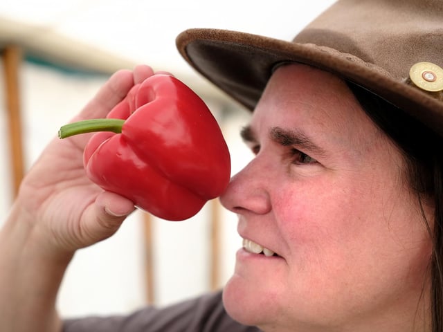 Checking the peppers!