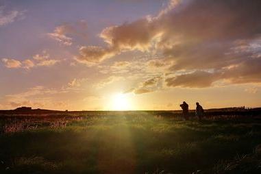 Here is a gorgeous sunset on the top of Bempton Cliffs.