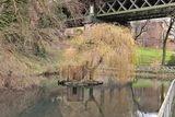 This tree looks lovely under Valley Bridge.