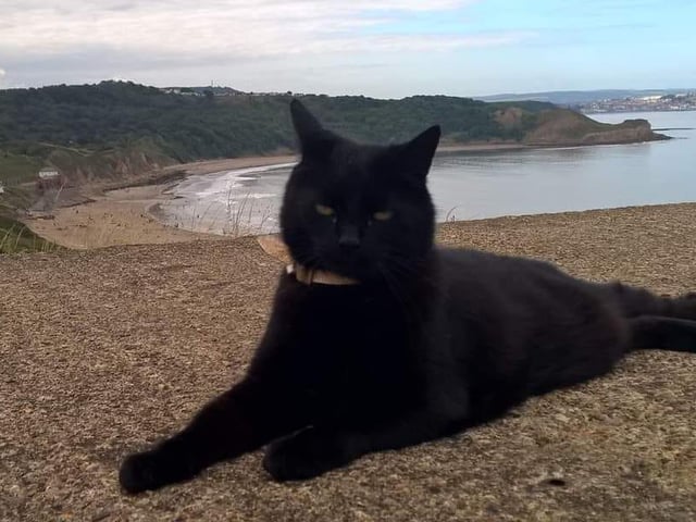 Billie ruling the Cleveland Way.