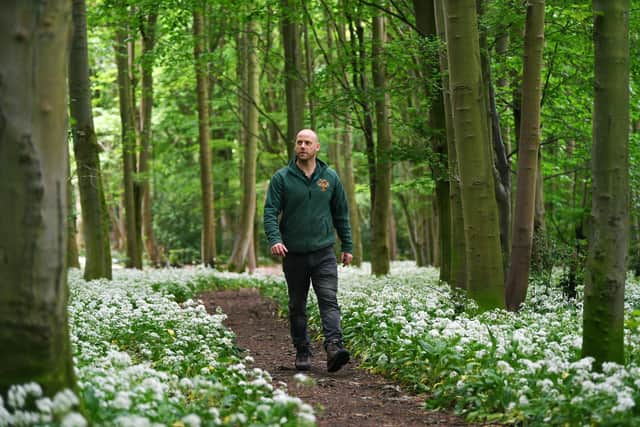 Raincliffe Wood Community Enterprise's community woodland manager Paul Thompson takes a stroll in England's biggest community run woodland.