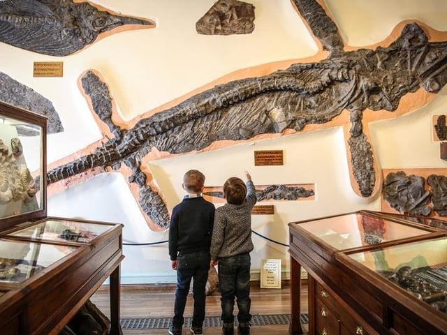The Yorkshire Fossil Festival is taking place at Whitby Museum on June 10 and June 11. This years festival has free entry will feature walks, talks, and a number of family-friendly events and entertainment. Visitors are invited to bring their own fossils to test the experts, work with palaeo-artists to bring ancient creatures back to life, and get their favourite rocks cut and polished to take home.
