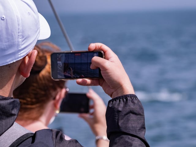 The tours are a fantastic opportunity for nature enthusiasts to snap some fab photos.