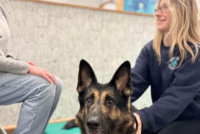 Operation K9 has a centre at Sherburn, near Scarborough.