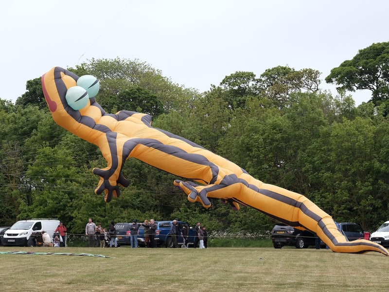 A giant Salamander takes flight!
