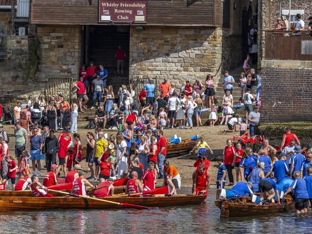 A hive of rowing activity! photo: Brian Murfield