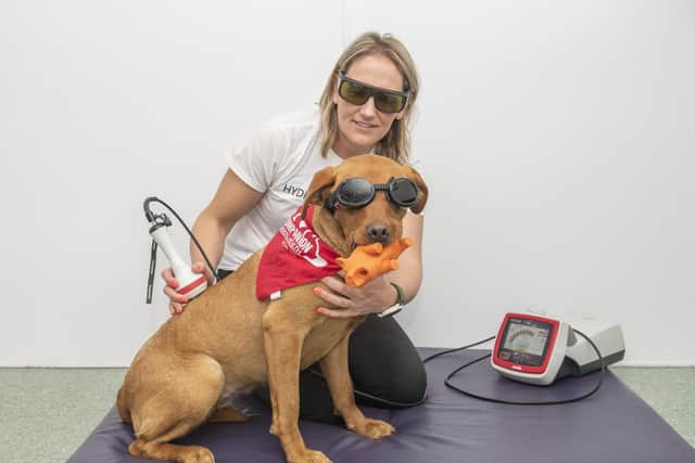 Rebecca Wilkinson, Operation K9.