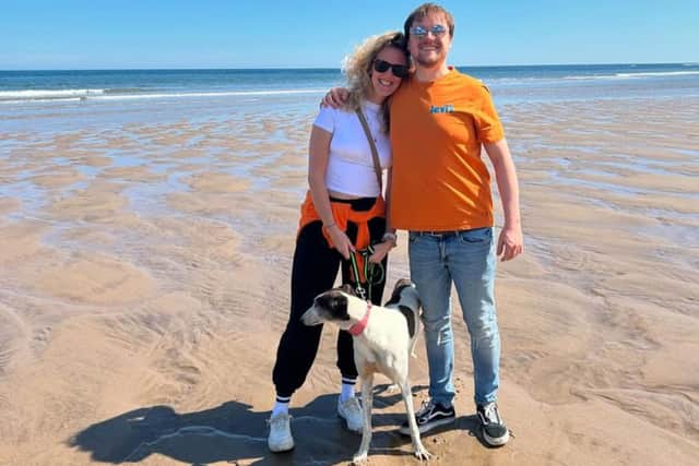 The ex-racing greyhound has found a forever home with Terri-ann and her partner Harry, who are raising money for her surgery. Photo: Terri-Ann Prendergast.