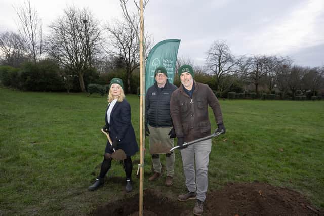 The White Rose Forest partnership launches ambitious 25-year Strategic Plan to transform North and West Yorkshire’s landscape for communities and nature