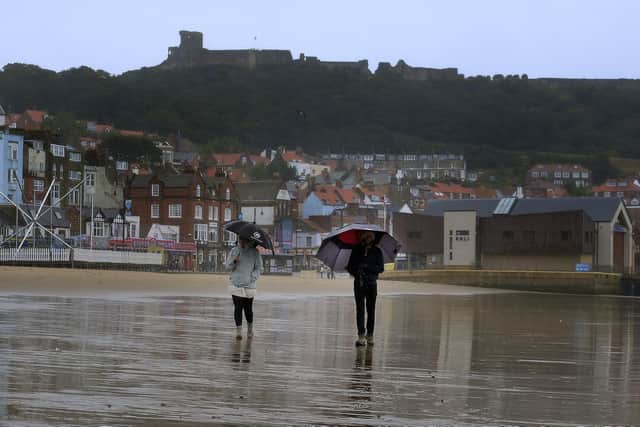 This week is set to be wet and mild, with rising temperatures and heavy rain predicted by the Met Office. Photo: Richard Ponter