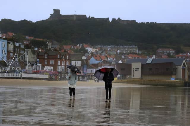 This week is set to be wet and mild, with rising temperatures and heavy rain predicted by the Met Office. Photo: Richard Ponter