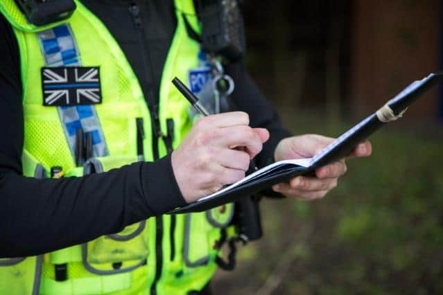 Police have appealed for the owner of a dog abandoned near Castle Howard to come forward