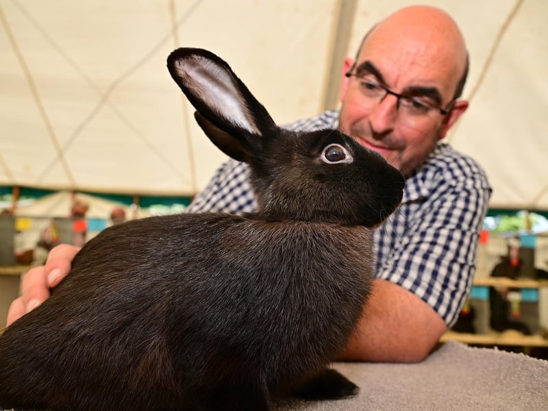 Adam Collier with one of the show rabbits. photo: Richard Ponter
