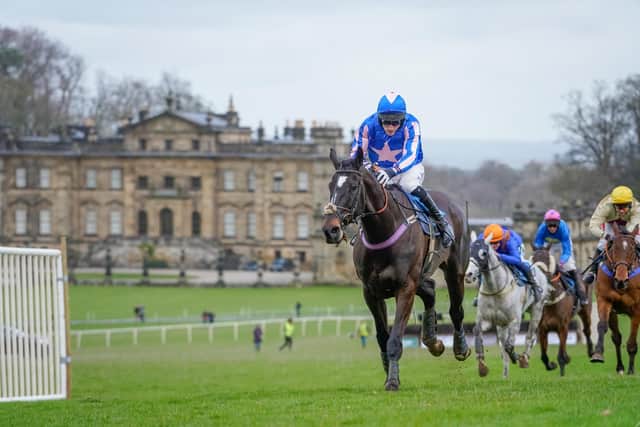 Line Em Up in action on the way to victory at the Helmsley Races. Photo by Tom Milburn Photography