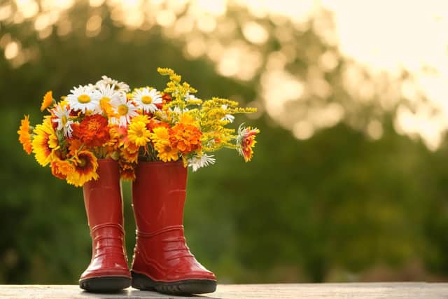 Grow flowers in old wellingtons. Photo: Adobe