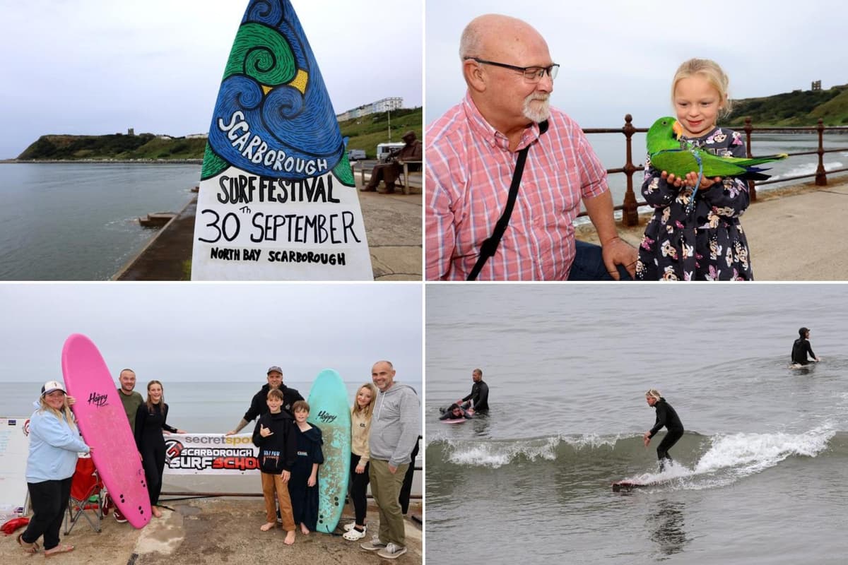 Scarborugh Surf Cat IN PICTURES: Here are 17 photos as Scarborough Surf Festival returns to ...