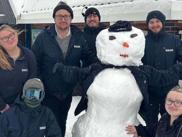 Karl and team enjoying some downtime on a snowy day.
