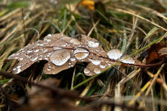 Winner, 11-13 years, Isla Walley – Autumn Jewels.