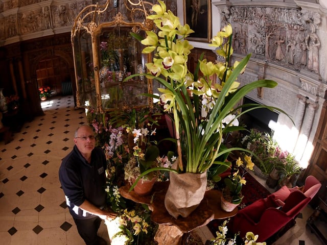 There are hundreds of orchids to be found throughout the hall.