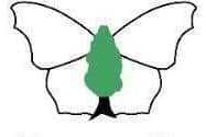 Butterfly Conservation’s Big Butterfly Count results are in