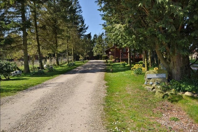The tree-lined driveway in to the site.