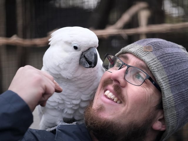 Chris Holah with George the umbrella cockatoo