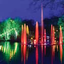 Dazzling lights at Stockeld Park festive experience