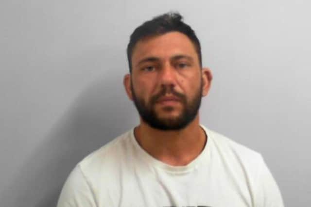 Sadistic thug Jack Gates has been jailed for a string of domestic violence offences.