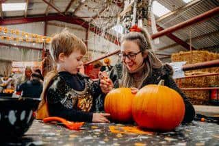 Pumpkin Carving