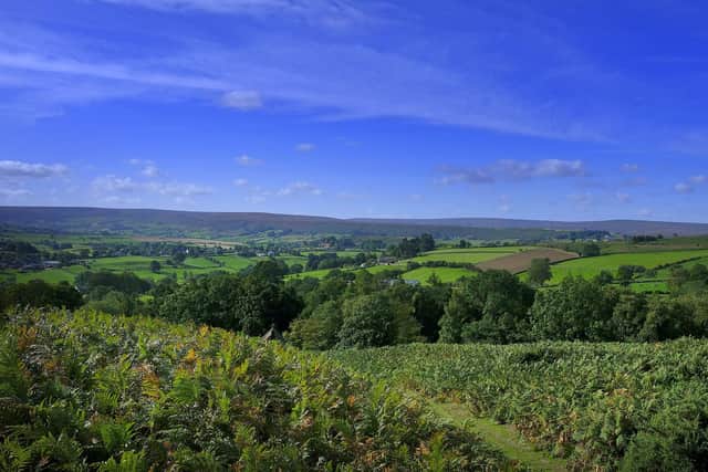 Plans to achieve a carbon-negative North Yorkshire have been endorsed by senior Scarborough councillors.